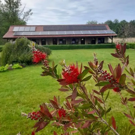 Pod Debem شقة Wapnica (West Pomeranian)