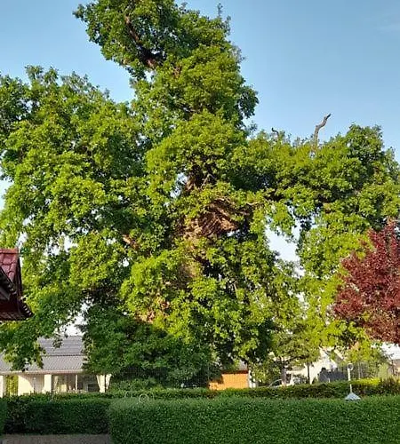 Apartamento Pod Debem