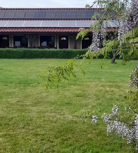 Pod Debem 아파트 Wapnica (West Pomeranian)