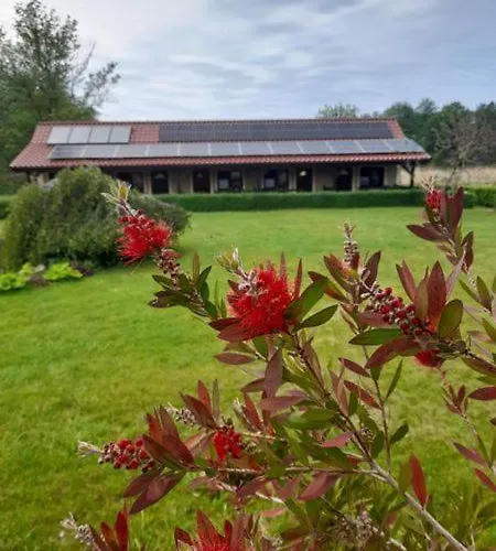 Pod Debem Apartamento Wapnica (West Pomeranian)